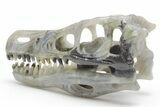Carved Labradorite Dinosaur Skull #218488-5